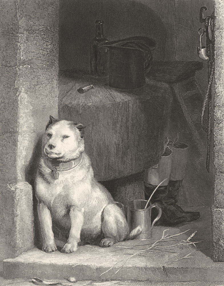 DOGS. Low life-Landseer c1880 old antique vintage print picture